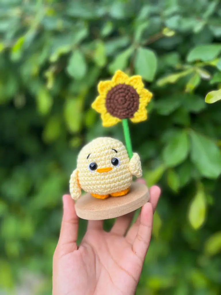 Pollito girasol